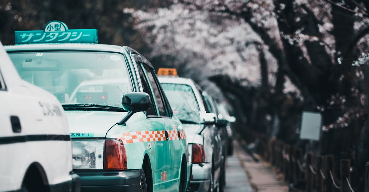 Duration and Validity of Taxi Licenses in Crete